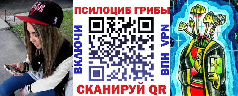 Купить закладки  Кубинка  Псилоцибиновые грибы мицелий 